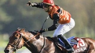 無敗の凱旋門賞馬エースインパクトが引退 仏・ボーモン牧場で種牡馬入り