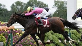 【京都大賞典】プラダリアが重賞2勝目…ブローザホーンは競走中止