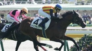 【新馬/東京5R】サトノダイヤモンド産駒 タリフラインが鮮やかに差し切る