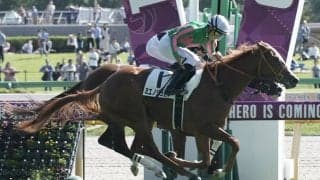 【新馬/東京6R】ブリックスアンドモルタル産駒 ミエノジュピターがデビューV