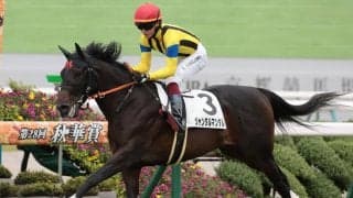 【新馬/京都5R】ジャンタルマンタルが2馬身半差完勝