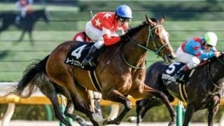 【府中牝馬S予想】関東馬が苦戦傾向!? “人馬一体”が求められる牝馬限定重賞