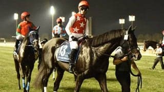 【富士S想定馬・騎手】ステラヴェローチェ、シャンパンカラーなど13頭