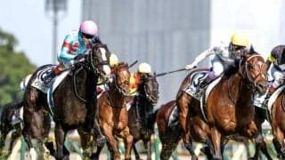 【天皇賞(秋)想定馬・騎手】イクイノックス、ドウデュースなど12頭