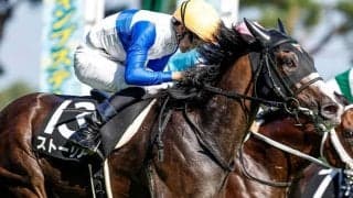 土曜は3場ともに良馬場 東京芝は絶好条件のストーリアに期待