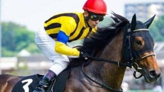 大舞台の大穴血統馬が秋華賞参戦 初GIで一発あるか