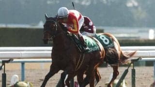 異色の良血が武豊騎手でデビュー ダンスディレクター産駒で母はヴィクトリアマイル覇者