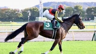 【秋華賞】リバティアイランドは3枠6番へ…史上7頭目三冠なるか！？