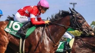 前走は不利大で不完全燃焼 ルージュスティリア府中牝馬Sで初タイトルなるか