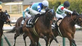 【今日の注目ポイント】東京でエリ女前哨戦の府中牝馬S 新潟が加わり3場開催に