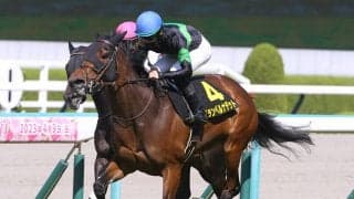 三冠牝馬誕生に注目の秋華賞　一発に期待なら思いきった騎乗ができる人気落ちの先行馬