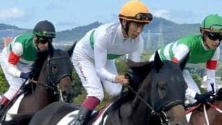 馬っぷりはオープン級 リチャードバローズが土曜京都3Rで本領発揮