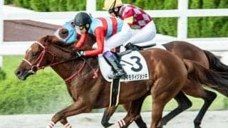 前走でダート適性を証明 京都12Rはタマモダイジョッキで祝杯挙げる