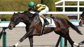 前走は勝負所で不利 レシプロシティが松浜特別で反撃へ