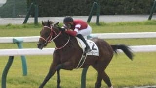 【京都4R新馬戦結果】リアルスティール産駒のフォーエバーヤングが圧勝！