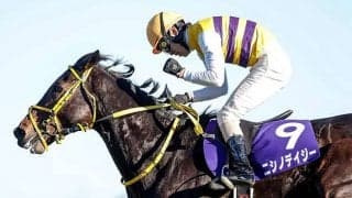 【東京HJ前日オッズ】ニシノデイジーが3.5倍で1番人気