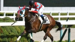 坂路で好時計連発 粟島特別はエイムインライフのポン駆けだ