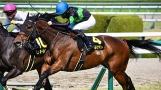 京都芝はキズナ産駒に勢いあり グランベルナデットが高配提供