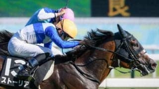 府中牝馬S出走のストーリアが予後不良に 14日の出来事一覧/新潟・東京・京都