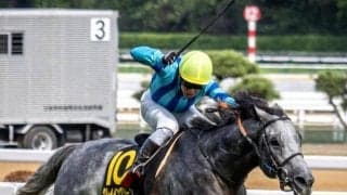 【信越S予想】前走は負けて強しのグレイイングリーン 勝ち負け必至だ