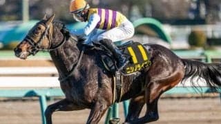 【鷹巣山特別予想】末脚自慢のニシノライコウ 今度こそ差し切りだ