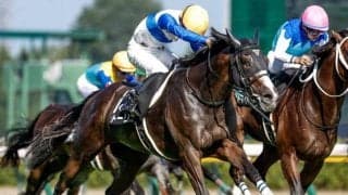 府中牝馬Sに出走したストーリアが予後不良に