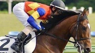 【東京8R予想】休み明け巧者のマブストーク 人気落ちで妙味あり