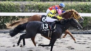 【プラタナス賞】イーグルノワールが連勝…白毛馬アマンテビアンコは3着