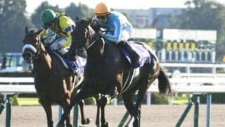 牝馬三冠馬6頭を振り返る リバティアイランドも名を刻むか