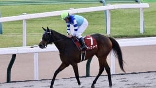 【府中牝馬S】デムーロ「距離はもちそう」ディヴィーナが重賞初制覇