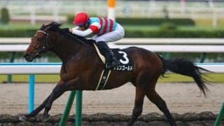 【紫菊賞】断然人気ジュンゴールドが完勝