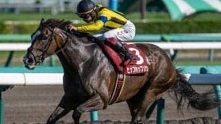 “リバティ逆転”があるなら前々から早めスパート 秋華賞で番狂わせを狙う