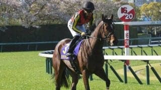 【秋華賞予想】トリッキーなコースを攻略し史上7頭目の牝馬三冠なるか