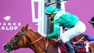 凱旋門賞馬の全弟シンエンペラー　デビューへの準備過程で見せる世界的良血馬の底知れなさ