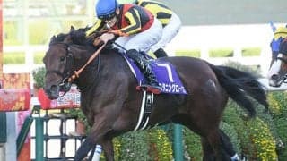 【秋華賞予想】狙いは1番人気より3番人気？ 秋華賞パターンを見切れば穴馬候補が見えてくる!?