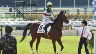 【京都5R新馬戦結果】レイデオロ産駒のエルサビオが接戦制しデビューV！