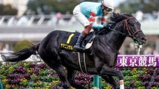 【JRA・WIN5】本日のWIN5は的中9212票、配当6万930円