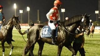 【富士S】ステラヴェローチェ、ナミュールらが登録