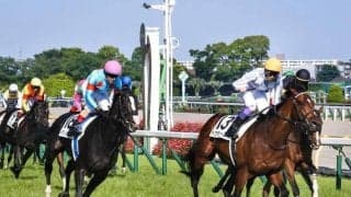 天皇賞(秋)登録馬 イクイノックス、ドウデュースらGI馬5頭を含む13頭