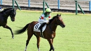 【新馬/京都5R】エルサビオが激しい追い比べを制する