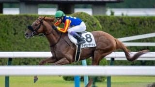 【京都9R】武豊騎乗、サイモンザナドゥが6馬身差圧勝