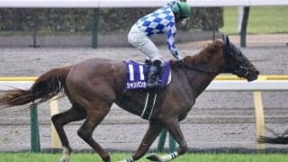 【富士S登録馬】シャンパンカラーなど13頭