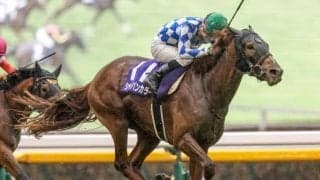 【富士S見どころ】3歳マイル王シャンパンカラーが始動 重賞2勝目なるか