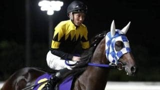 【浦和・埼玉新聞栄冠賞枠順】重賞4勝馬ランリョウオーは3枠3番、久々のタイトル獲得狙うヴェルテックスは5枠5番