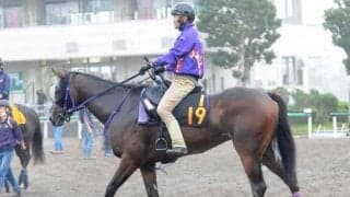 エフフォーリアの半妹イゾラフェリーチェがスタンバイ 東京の新馬戦に東西良血馬が集結/関東馬メイクデビュー情報