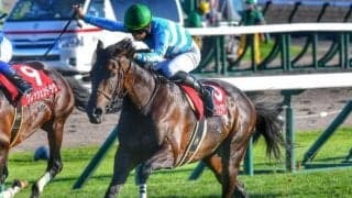 【先週のJRA抹消馬】無敗三冠牝馬デアリングタクトや阪神JF覇者サークルオブライフなど