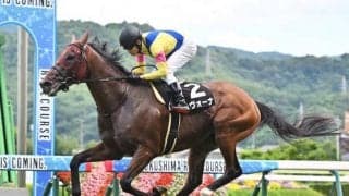 【AI予想・菊花賞】3歳最強ステイヤー決定戦！ 好走の鍵は前走の着順と位置取り