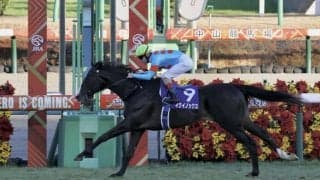 有馬記念公開枠順抽選を実施…BSフジで生中継