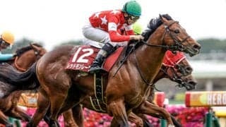 【富士S想定騎手】ナミュールはJ.モレイラ騎手、レッドモンレーヴは横山和生騎手