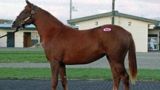 売上総額は6億円超 オータムセール1日目が開催